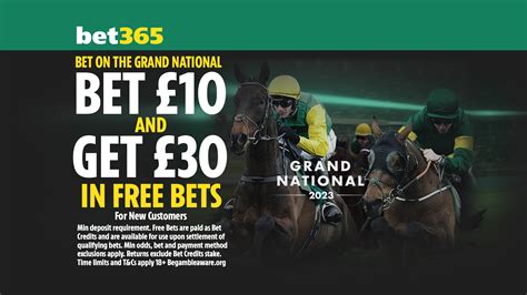 The Grand Journey bet365
